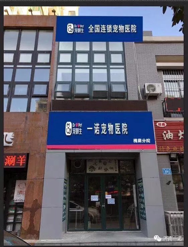 宁波喵叔宠物医院：专业、贴心的宠物健康守护
