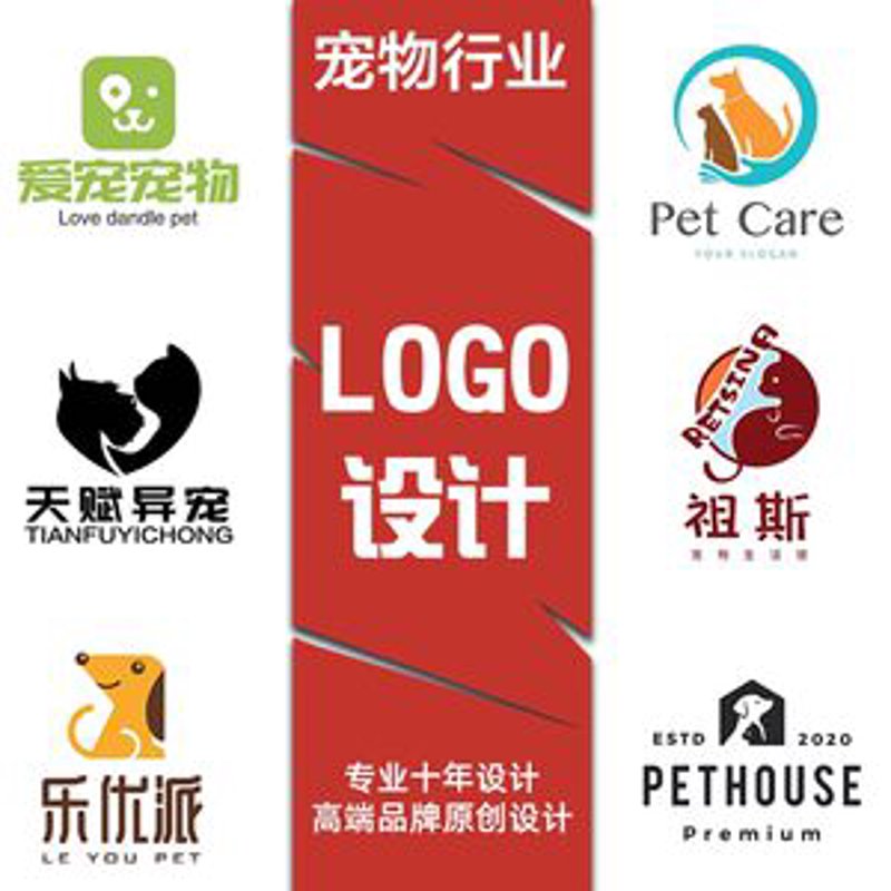 宁波喵叔宠物医院：专业、贴心、温暖的宠物医疗选择