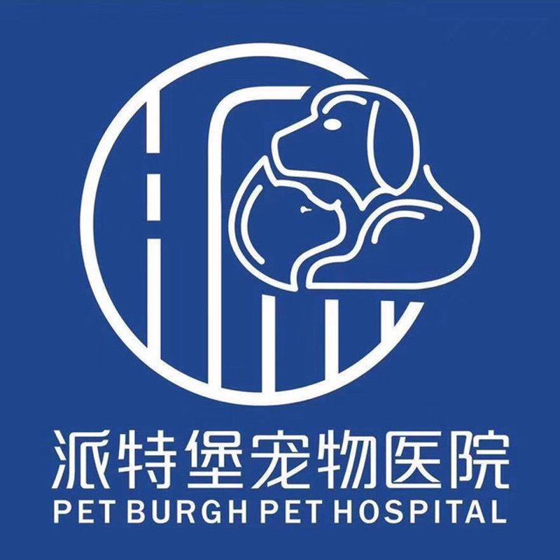 猫咪的快乐生活——喵叔450的故事