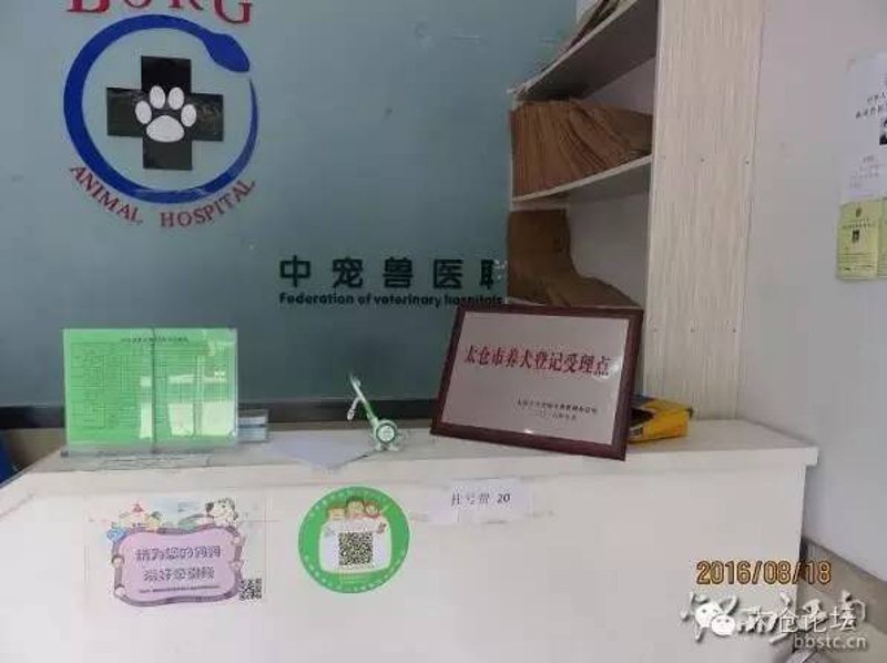 未来宠物行业趋势，喵大叔宠物如何引领变革