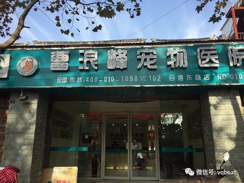 宁波喵叔宠物医院管理有限公司周边最接近的宠物医院有哪些？