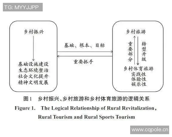 以体育精神为核心推动社会发展与个人成长的多维探讨与实践路径