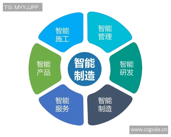 以数字化转型为驱动推动网络基础设施建设与升级提升信息化水平和产业竞争力